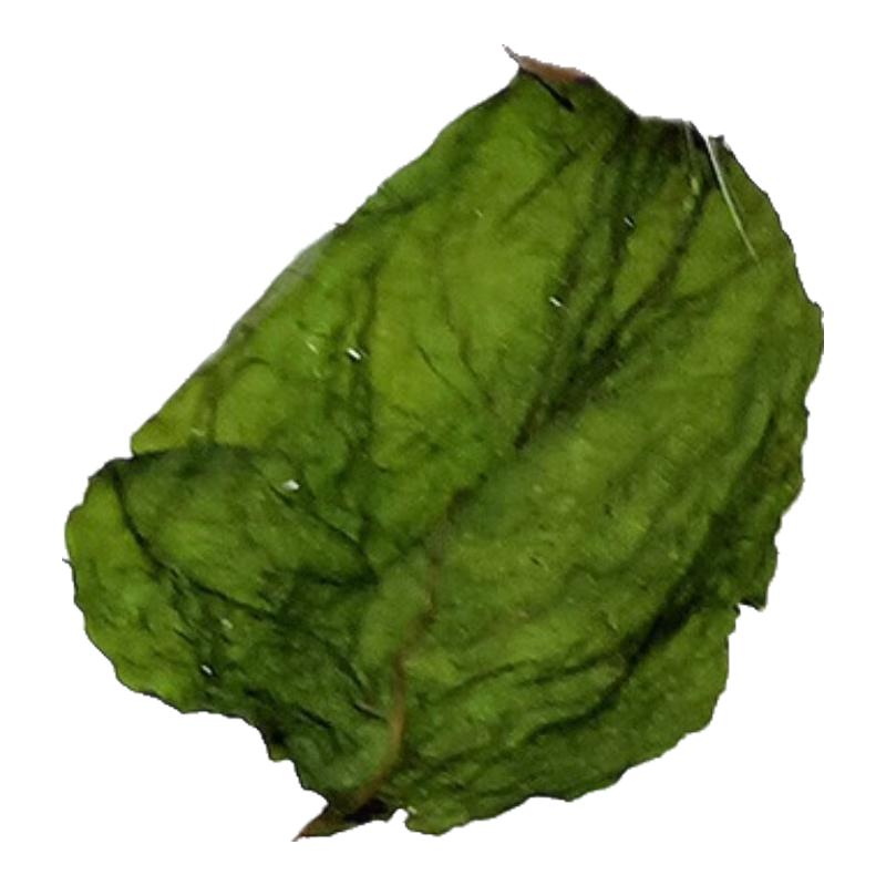 木天蓼叶子猫薄荷叶整片猫零食宠物猫咪用品去毛球开胃兴奋自嗨 猫咪木天蓼叶 瓶装80毫升（约10克）