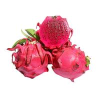 亿熙 越南 红心 火龙果 1.25kg 单果400g以上