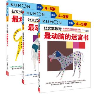 《公文式教育：最动脑的迷宫书+最动脑的手工书+最动脑的拼贴书》（套装共3册）