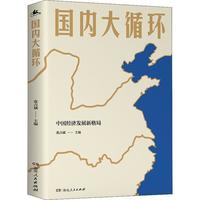 《国内大循环》