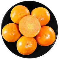 shawoshuguang 沙窝曙光 新鲜脆柿子 2.25kg-2.5kg
