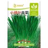 凤鸣雅世山东细叶韭菜农家老品种韭菜家庭阳台四季蔬菜小细叶韭菜种子10克