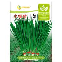 凤鸣雅世山东细叶韭菜农家老品种韭菜家庭阳台四季蔬菜小细叶韭菜种子10克
