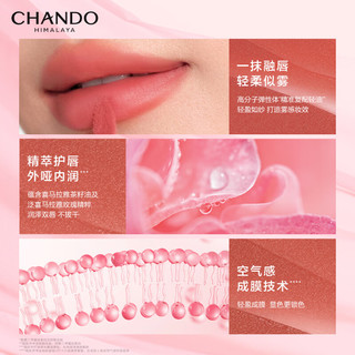  CHANDO/自然堂 护唇润泽 女士唇釉  R12野番茄 2.4mL