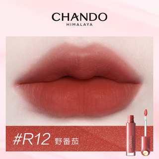  CHANDO/自然堂 护唇润泽 女士唇釉  R12野番茄 2.4mL