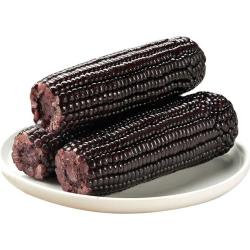 京鲜生 山东黑玉米 200g*8棒