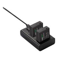 IIano 绿巨能 LIano 绿巨能 DMW-BLG10 相机电池 7.2V 980mAh 充电套装 2块装