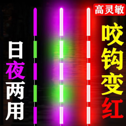 贝吹坊 咬钩变色夜光漂超亮电子漂日夜两用LED硬尾电子浮漂夜钓鱼漂浮标 咬钩变色/日夜两用超亮款-2支装