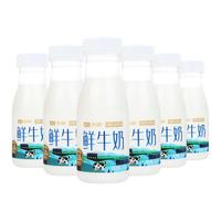  TERUN/天润 巴氏杀菌 鲜牛奶  【3.8】鲜奶210g*6 瓶装 210g