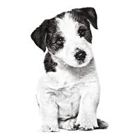 ROYAL CANIN皇家狗粮 小型犬幼犬全价狗狗粮 宠物泰迪博美比熊 MIJ31 MIJ31 小型幼犬2kg+狗罐头195g*1