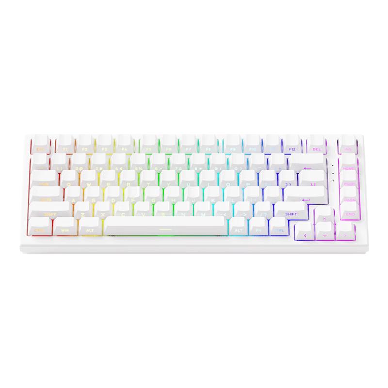 TAC75白色8K-星引力磁轴