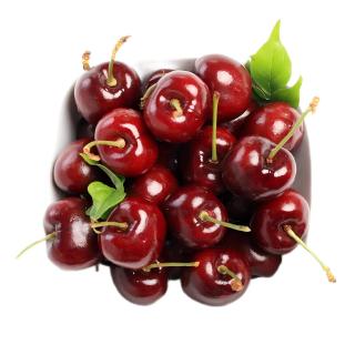 今日必买：12月31日前发货！京鲜生 3J级智利Santina车厘子 净重10斤礼盒装（果径约30-32mm）