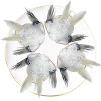 鲜京采白蕉海鲈鱼翅900g(配剁椒包) 冷冻海鲈鱼鳍鱼下巴 生鲜 源头直发 【送剁椒料包】海鲈鱼翅900g