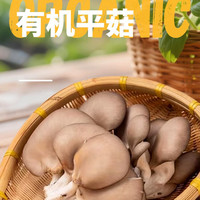 米特乐芙有机平菇 新鲜蘑菇 无农残 基地直发 孕老幼放心食材 有机平菇