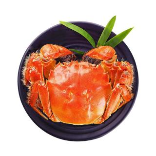 每只8元、去绳足重！：蟹叁钳庄 现货六月黄大闸蟹 8只礼盒装（每只净重1.8-2.1两）