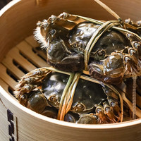 蟹叁钳庄 全母大闸蟹 去绳足重2.8-3.1两 8只