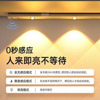 以典 LED人体感应灯带 80CM黑色 常亮+人体感应