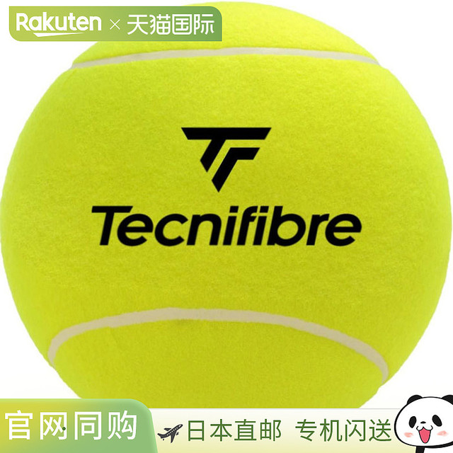 Tecnifibre 女士 Jumbo Ball 网球签名球 55TFGBJAUN サイン専用ボール