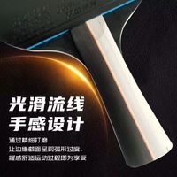 双鱼5星级高弹力乒乓球拍专业成人训练双拍双面反胶横直拍