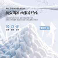 Y U-LIVE冰丝凉席地垫客厅地毯奶油风2025夏季榻榻米高级轻奢免洗可擦 冰丝凉席-禅寂 140cm*200cm 【防潮抑菌】