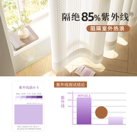 镜面纱窗帘防晒隔热纱帘遮光2025客厅白纱阳台遮阳透光不透人 镜面月枝影（奶油色）-挂钩款