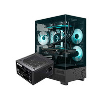 微星(MSI) M100L PZ 支持背插机箱 海景房 氪金枪 系列台式机电竞侧透机箱 微星M110L水晶塔+微星D600N电源