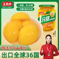 移动端、京东百亿补贴：王员外 沂蒙山黄桃罐头 500g*2瓶 控糖0脂