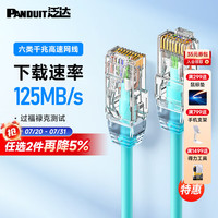泛达 PANDUIT 六类细网线CAT6类千兆跳线POE监控办公家用水晶头宽带成品网线 冰湖蓝 25米