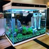 森森 HE800 智能鱼缸 冰雪白 77.5