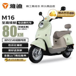 雅迪 M16长续航电动摩托车 性价比品质智能电摩60V21Ah 春辰绿/珠光碧山绿/纳多绿