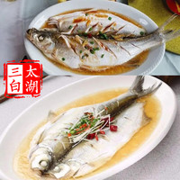 太湖海【特大白鱼】太湖三白翘嘴白条大白刁 鲜活三去淡水鱼类江苏特产 现杀 2斤*2条