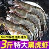 鲜驰 海捕黑虎虾 500g