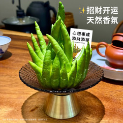 京东鲜花 佛手柑250-300g+盆+贺卡