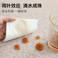 高级感仿剑麻入户门地垫进门防水防污可擦免洗地毯棉麻防滑玄关垫