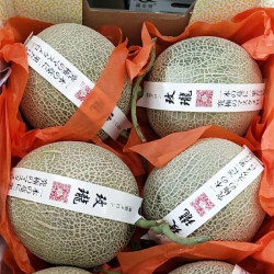姬幻 言象 网纹瓜 净 重4斤＋（2-3个装*** 正宗网纹瓜1