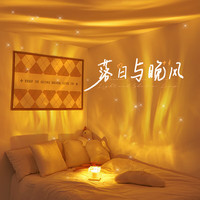 晴碧琳 qbily 水波纹氛围灯 16色变光 遥控开关 插电款