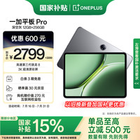 一加 OnePlus 平板 Pro 12.1英寸平板电脑 12GB+256GB