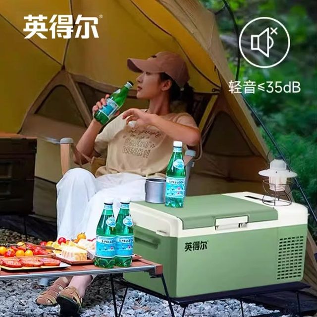 英得尔 车载冰箱车家两用迷你小型冰箱冷冻冷藏户外汽车12v24v