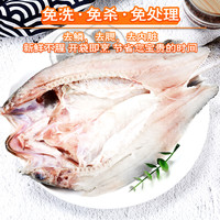 海鲈鱼开背新鲜冷冻鲜活深海七星鲈鱼海鱼卢鱼水产烤鱼半成品商用