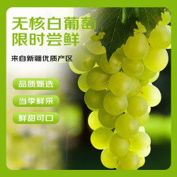 京鲜生 新疆吐鲁番无核白葡萄 净重3.5斤