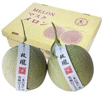 乌仙子 山东冰淇淋网纹玫珑蜜瓜8.5-9斤 （3-5个）