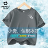 小猪班纳 儿童短袖t恤夏季男童速干薄款吸湿冰爽上衣男孩凉感衣服童装 白字五角星/烟灰色 140