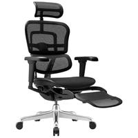 Ergonor保友金豪b雄鹰 人体工学椅护腰办公椅电脑椅电竞椅 黑色网+躺舒宝 【金豪b雄鹰】黑色网+躺舒宝