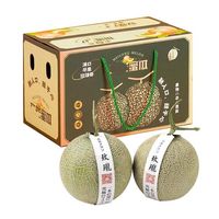 乌仙子 山东冰淇淋网纹玫珑蜜瓜4.25-4.5斤 （2-3个）