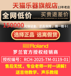 罗兰 音箱CUBE STREET EX户外演出卖唱便携吉他弹唱直播音响