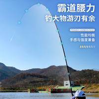 宝飞龙龙鳞大物轻量大物杆超轻硬台钓鱼竿 8.1m +配节险