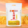 五得利 八星雪花小麦粉