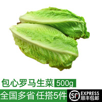绿食者 新鲜罗马生菜 500g