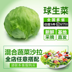 千牛优福 国产球生菜 500g