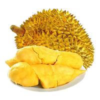 旭霁 泰国金枕榴莲新鲜巴掌榴莲整个热带水果 净重2-3斤丨精选果丨包3-4房